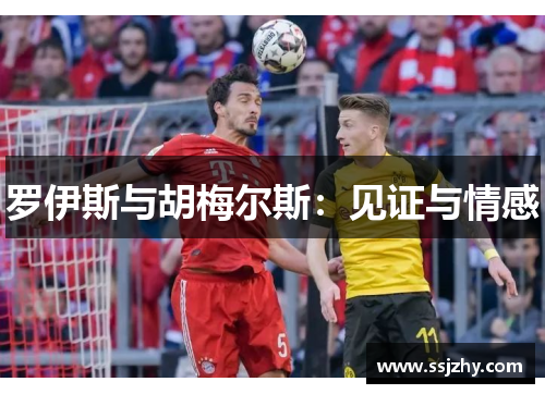 罗伊斯与胡梅尔斯：见证与情感